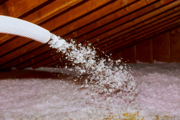 Best Blown-in Insulation  in Jacksboro, TX
