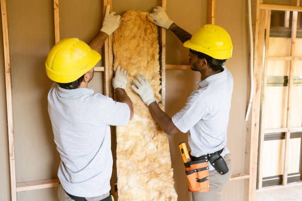 Best Insulation Replacement Services  in Jacksboro, TX